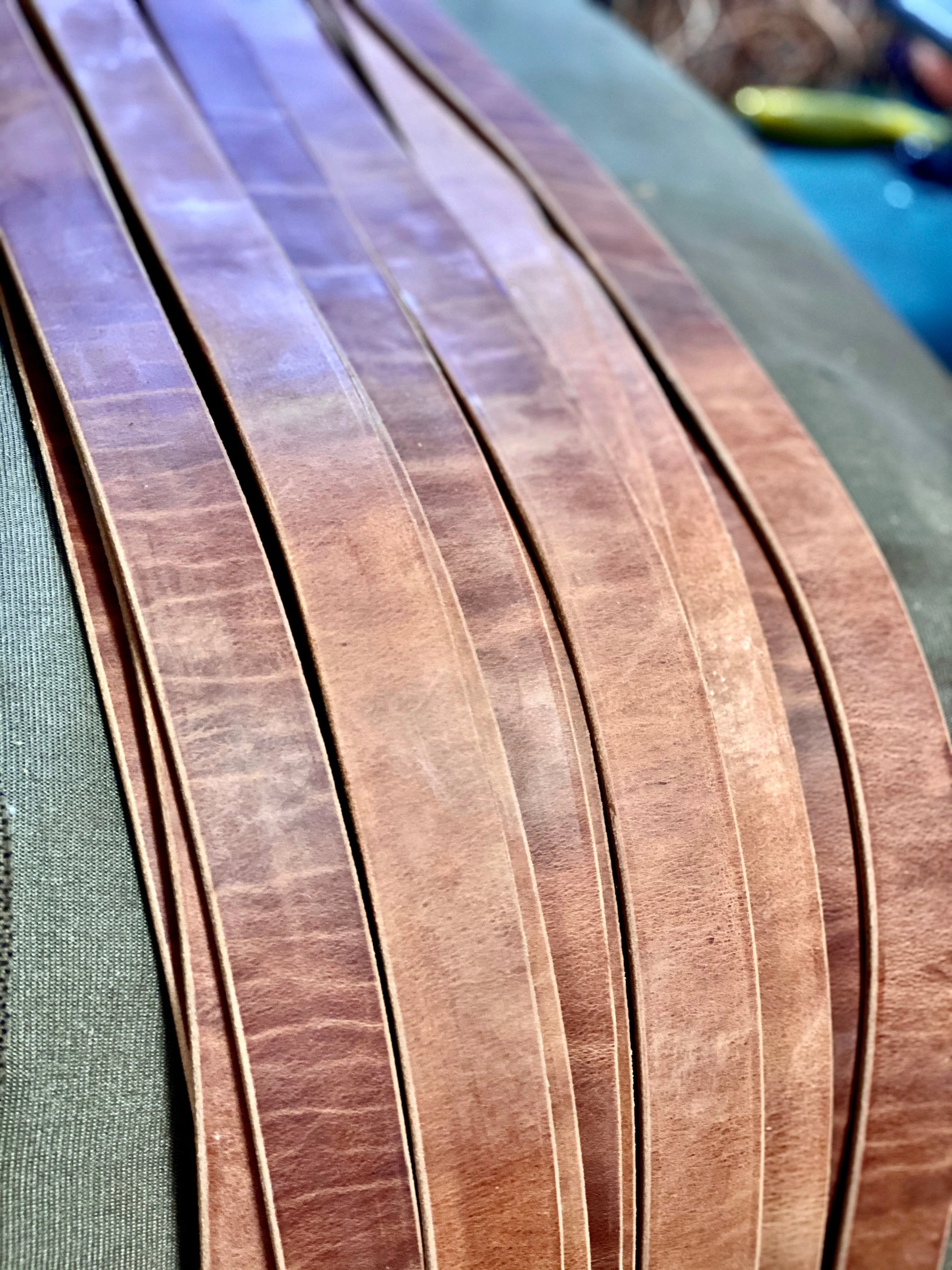 CLASSIC NATURAL OAK SELECT 1.5 Limited Edition Leather Belt